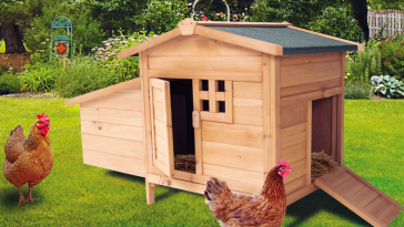 construire un poulailler