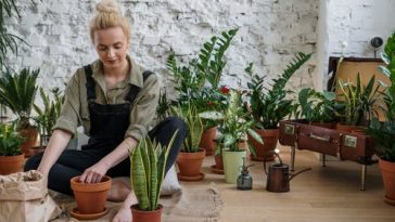 Préparer son jardin pour l’été que faut-il savoir