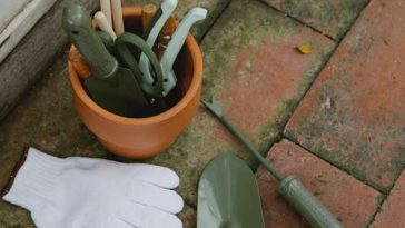 Les outils indispensables à avoir pour un jardinage réussi