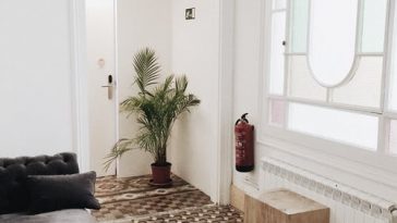 Conseils pour optimiser un petit salon