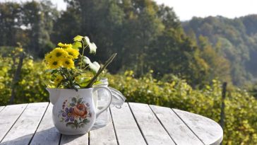 Quelle table choisir pour son jardin ?